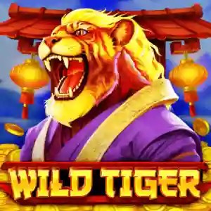 Wild Tiger by BGAMING, showcased at casinoinstant-uk.com – game logo